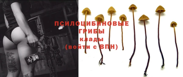 mdma Кодинск