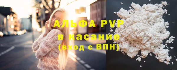амф Костерёво
